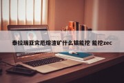泰拉瑞亚灾厄熔渣矿什么镐能挖 能挖zec